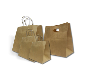 Paper Carry Bags