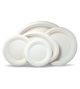 Sugarcane plates